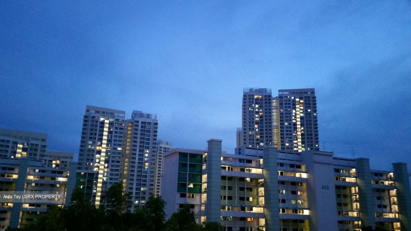 Holland Avenue (Queenstown), For Rent 97871101